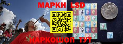 стаф Чебаркуль