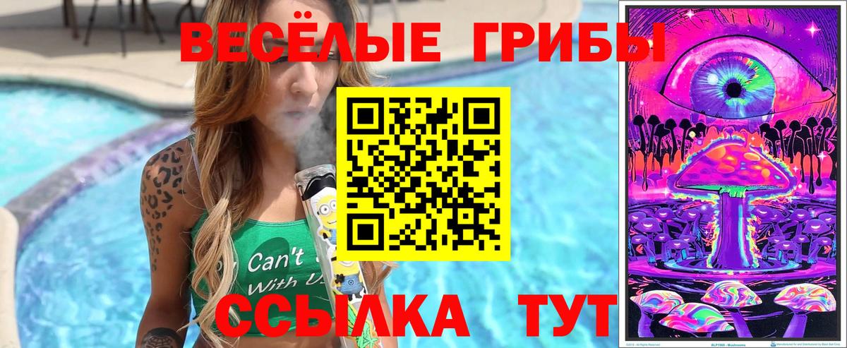 Нижнеудинск  купить  сайты  Вход с VPN  Галлюциногенные грибы прущие грибы  Псилоцибиновые грибы мицелий 