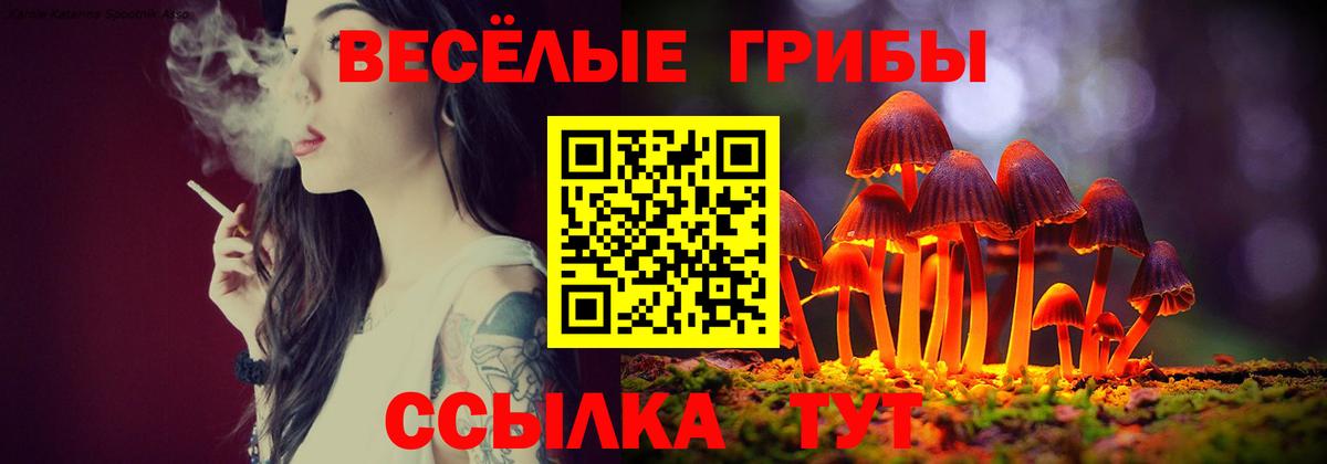 Галлюциногенные грибы прущие грибы Нижнеудинск